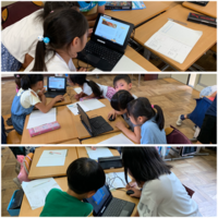 写真：2年生　初めての調べ学習2