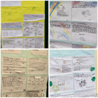 写真：蚕学習発表の様子3