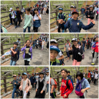 写真：日光修学旅行の様子17