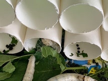 写真：校長室の蚕の様子3