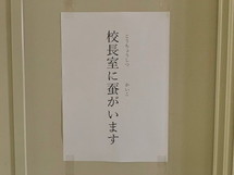 写真：「校長室に蚕がいます」の表示
