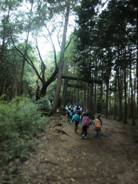 写真：遠足の様子1