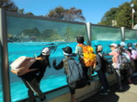 写真：ペンギン2