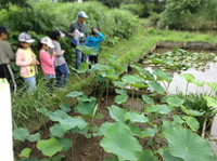 写真：3年　ビオトープ