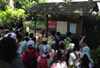 写真：町探検の様子