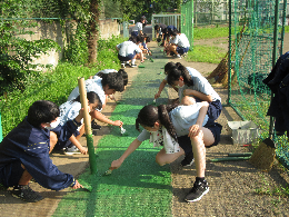 写真 スマイルロード