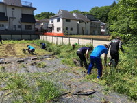 写真：ひまわり農園の整備3