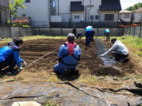 写真：ひまわり農園の整備4