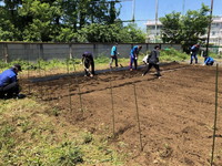 写真：ひまわり農園の整備5