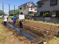 写真：ひまわり農園の整備6