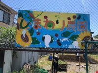 写真：ひまわり農園の整備7