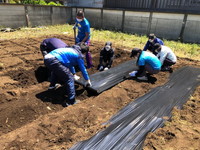 写真：ひまわり農園の整備9