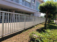 写真：向日葵の様子