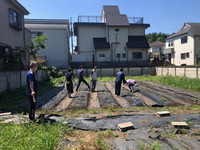 写真：夏野菜の植え付けの様子1