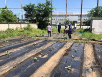 写真：夏野菜の植え付けの様子4