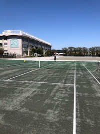 写真：テニスをしている様子1