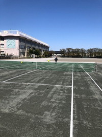 写真：テニスをしている様子2