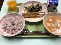 写真：7月17日の給食