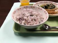 写真：ゆかりご飯