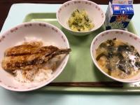 写真：7月22日の給食