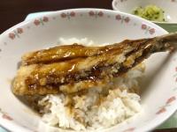 写真：いわしのかば焼き丼