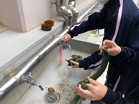写真：きゅうりを洗う様子