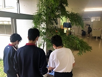 写真：七夕の木を設置する様子1