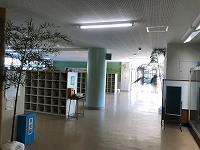 写真：廊下に飾られた七夕の木