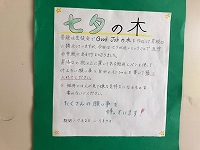 ポスター：七夕の木