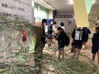 写真：募金活動の様子5