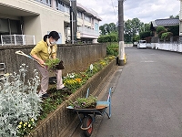写真：花壇の整理1