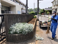 写真：花壇の整理2