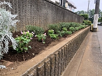 写真：学校花壇2