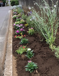 写真：校門横の花壇1