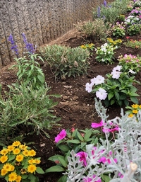 写真：校門横の花壇2