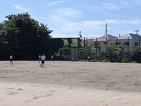 写真：柔らかベースボール2