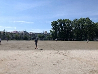 写真：柔らかベースボール3