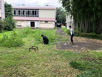 写真：竹を取りに来た様子