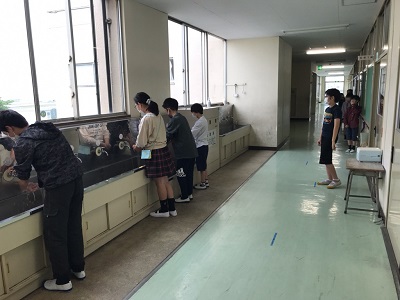 写真:手洗いの練習の様子