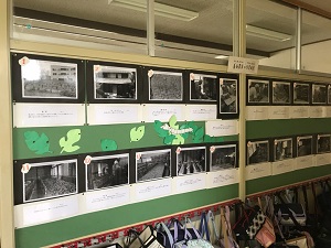 カイコ学習の資料