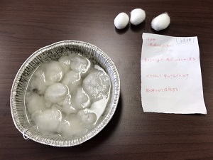 繭を水で冷やす様子