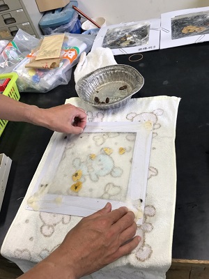 色紙を作る様子