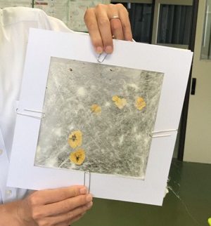 出来上がった色紙