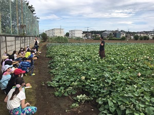 畑を見学する様子