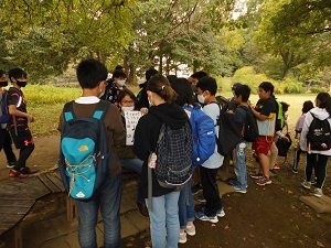 オリエンテーリング音楽の問題の様子