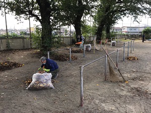 落ち葉拾いの様子2