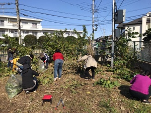 桑の木の手入れの様子