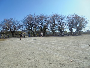 6年生徒競走の様子