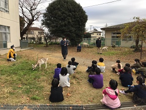 ヤギ体験の全体風景