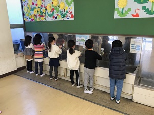 手洗いの様子